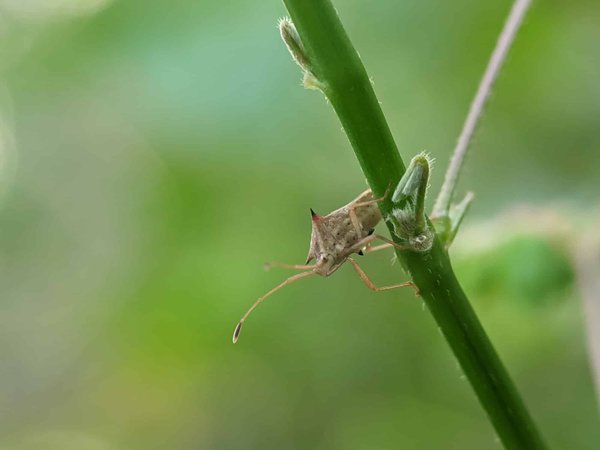 Comment surmonter la peur de parler en public et devenir un bon orateur ?